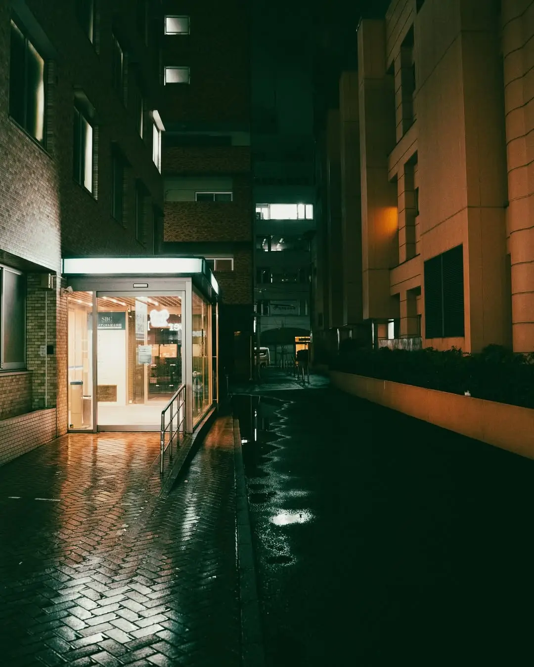 Street Photography in Japan